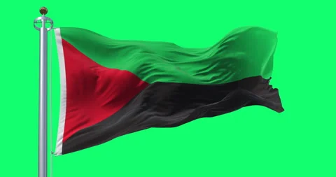 Flag of Martinique waving in the wind isolated on green background Stock Footage 345228654
