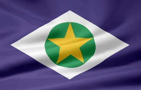 Flag of Mato Grosso Stock Illustration