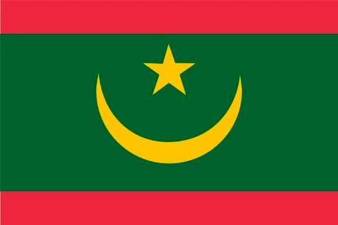 Flag of Mauritania Stock Illustration