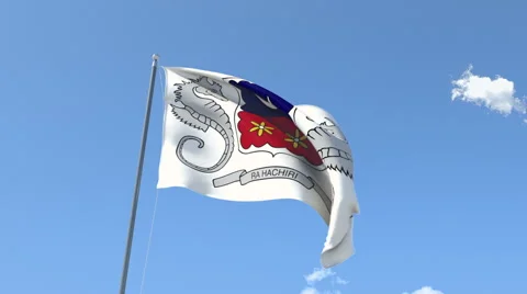 The flag of Mayotte Waving on the Wind. Stock-Footage 47065976