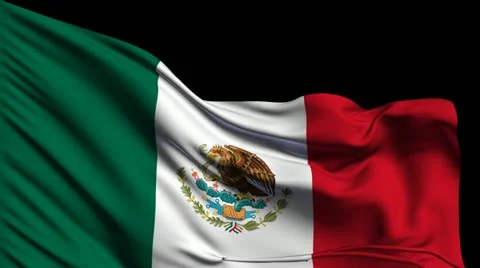 Flag of Mexico Stockbeeldmateriaal 22331000