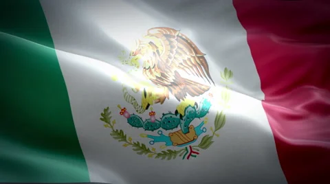 Flag of Mexico 動画素材 47619122