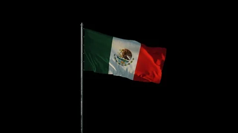 Flag of Mexico Stock Footage 103178925