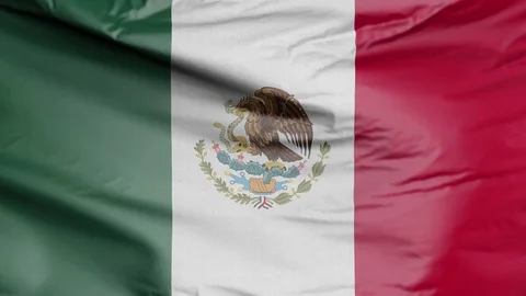 Flag of Mexico Stock Footage 116894161