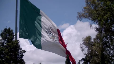Flag Mexico Stock Footage 139242148