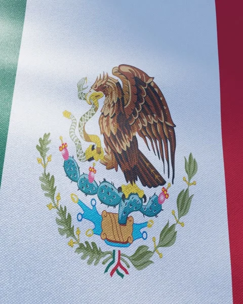 Flag of Mexico Stock Footage 278614002