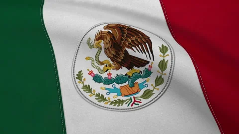 Flag of Mexico Loop Video stock 241247649