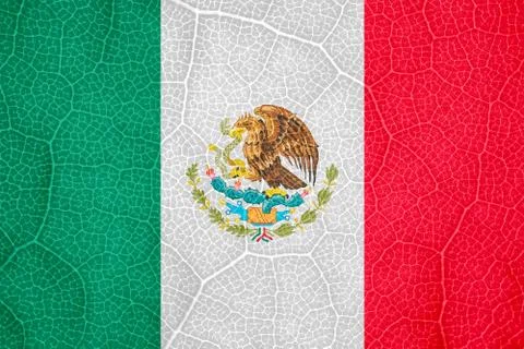 Flag of Mexico on the structure of a tree leaf macro Stock-Fotos