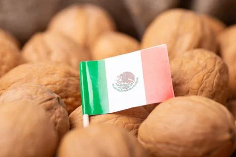Flag of Mexico on walnuts Stock Photos