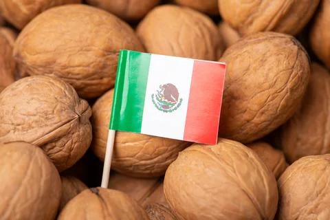Flag of Mexico on walnuts Stock Photos