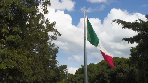 Flag of Mexico Waves Feebly Vidéo 92503883