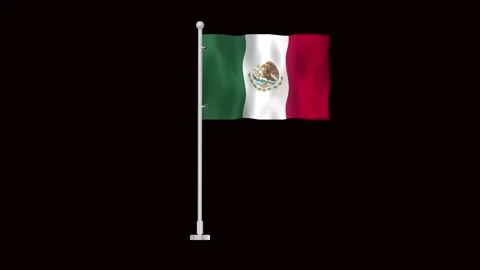 Flag of Mexico waving Stock Footage 320898408