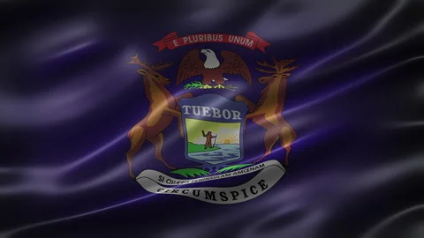 The Flag of Michigan State, font view, full frame, sleek, glossy, Stock Footage 265156613