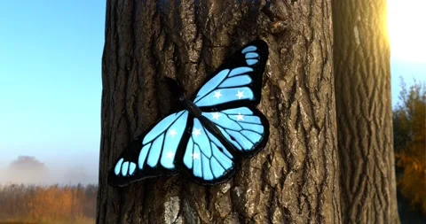 Flag of Micronesia on Butterfly Wings Realistic 4K UHD 60FPS Stock Footage 150689710