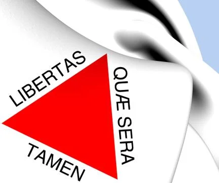 Flag of minas gerais Stock Illustration