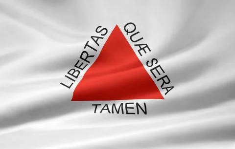 Flag of Minas Gerais Stock Illustration