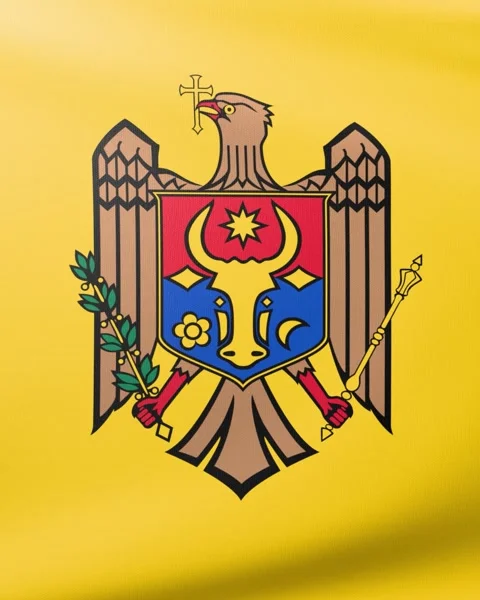 Flag of Moldova Video stock 300854493
