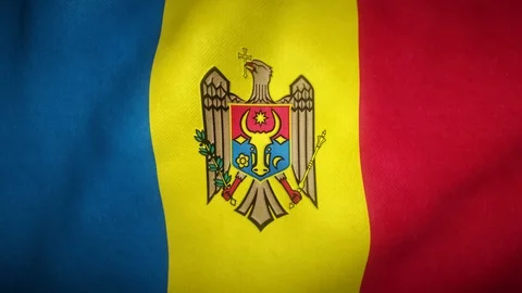 Flag of moldova waving in the wind Stock-Footage 125830003