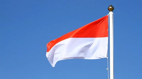 Flag of Monaco on a blue sky Stock-Footage 45569388
