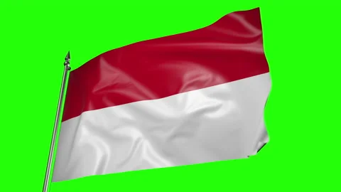 Flag of Monaco on a flagpole. 3D animation on green screen 動画素材 204954930