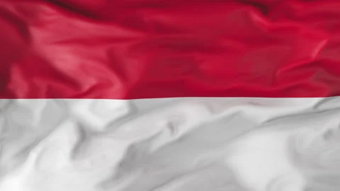 The flag of Monaco is fluttering in the wind. Animation 3d Vídeo Stock 202101713