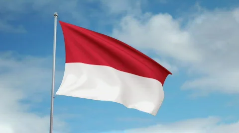 Flag of Monaco 스톡 동영상 445335