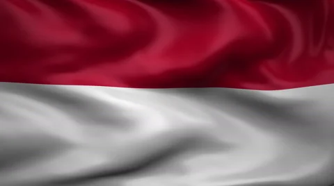 Flag of Monaco Video stock 65171872