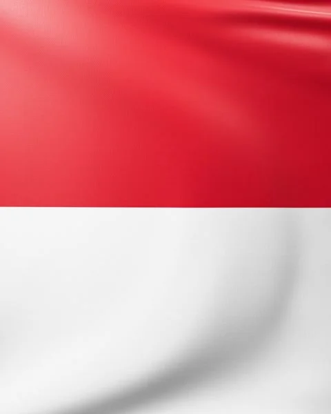 Flag of Monaco Stock Footage 300851882