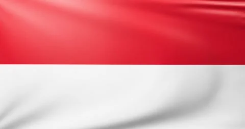 Flag of Monaco Stock Footage 300854175