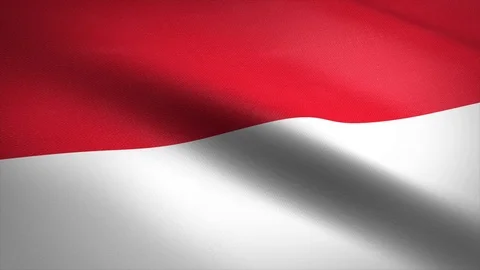 Flag of Monaco. Waving flag with highly detailed fabric texture seamless Stock-Footage 121888524