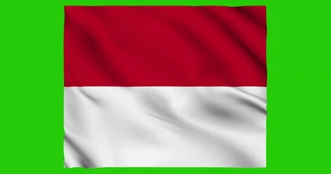 Flag of Monaco waving on a samless loop over an easily removable background 스톡 동영상 98372252