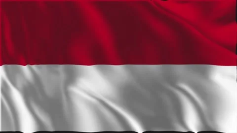 Flag of Monaco waving slowly Stock-Footage 337722186