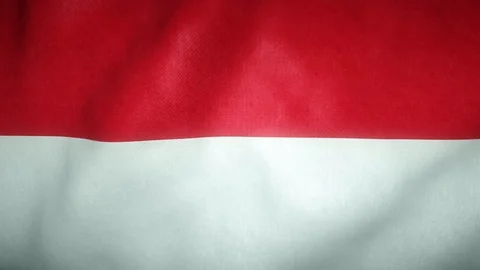 Flag of monaco waving in the wind Stock-Footage 125830044