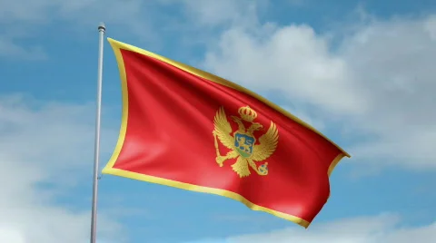 Flag of Montenegro 스톡 동영상 443683