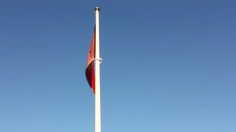 Flag of Montenegro Stock Footage 124521393