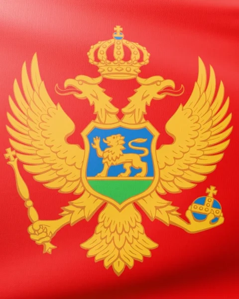 Flag of Montenegro Video stock 300879922