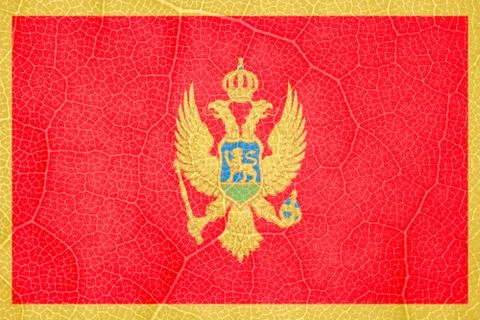 Flag of Montenegro on the structure of a tree leaf macro Foto stock
