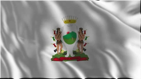 Flag of Monterrey waving slowly Stock Footage 341608135