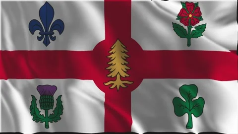 Flag of Montreal waving slowly Stock Footage 341502863