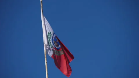 Flag with Monza emblem 스톡 동영상 260079575