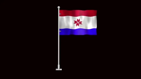 Flag of Mordovia waving Stock Footage 320898448