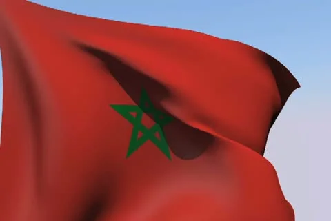 Flag of Morocco NTSC 動画素材 14610742