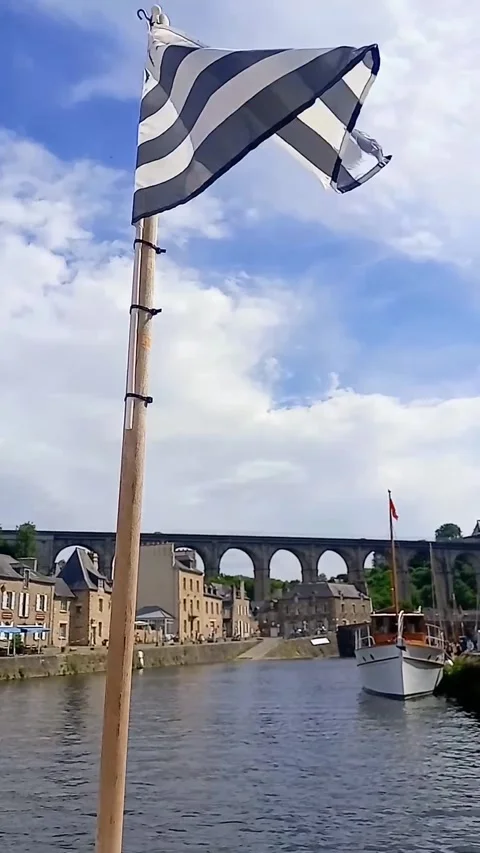 Flag moved by the wind Stock Footage 314115781