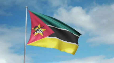 Flag of Mozambique 動画素材 445314
