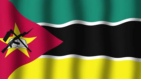 Flag of Mozambique Vidéo 175825335