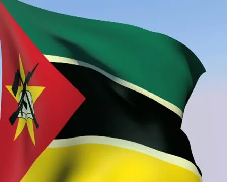 Flag of Mozambique PAL 스톡 동영상 14611008
