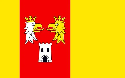 The flag of the Myshkovsky District Stock Illustration