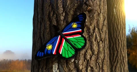 Flag of Namibia on Butterfly Wings Realistic 4K UHD 60FPS Video stock 150688751