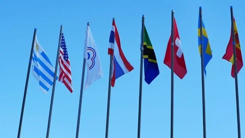 Flag nation pan Stock Footage 110853725