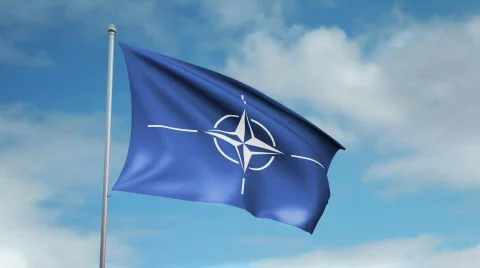 Flag of NATO Video stock 445291